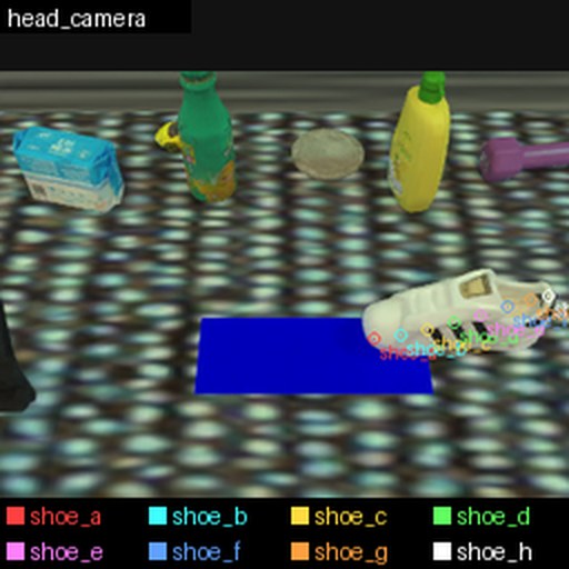 Eight named points marked along the shoe on the RoboTwin head camera